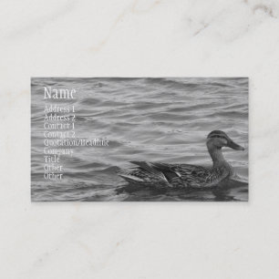 Beautiful Female Mallard Duck Business Card