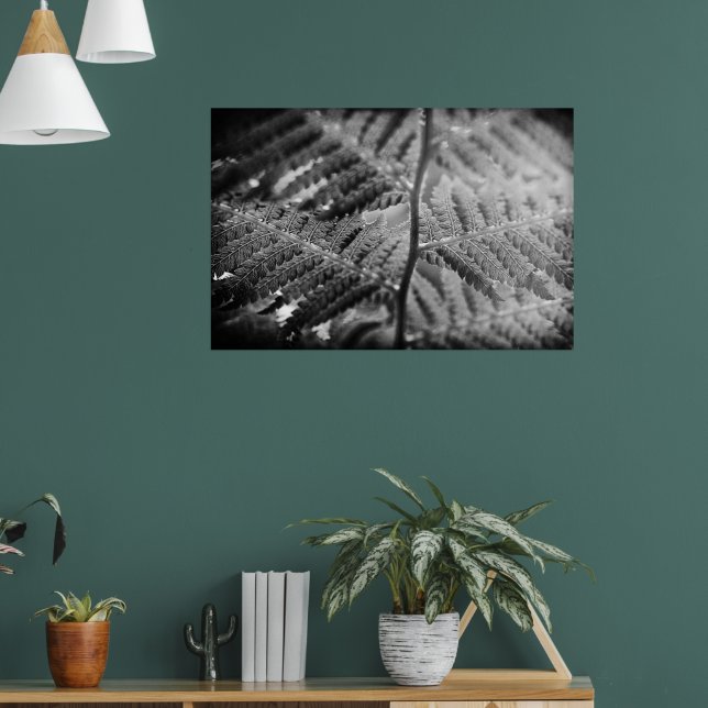 Beautiful fern black and white poster (Living Room 1)