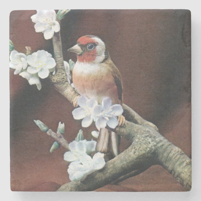 Beautiful Finch on a Branch Stone Coaster (Front)