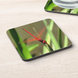 Beautiful Firecracker Dragonfly Acrylic Painting Coaster