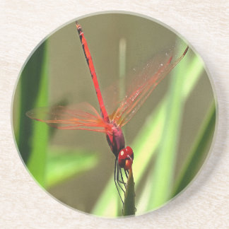 Beautiful Firecracker Dragonfly Acrylic Painting Coaster