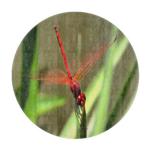 Beautiful Firecracker Dragonfly Acrylic Painting Cutting Board