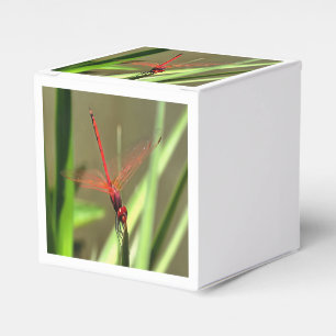 Beautiful Firecracker Dragonfly Acrylic Painting Favour Box