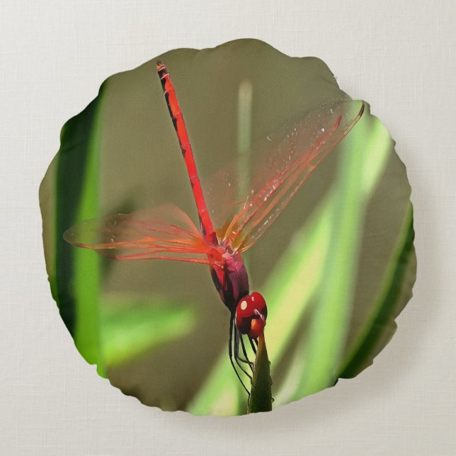 Beautiful Firecracker Dragonfly Acrylic Painting Round Cushion (Back)