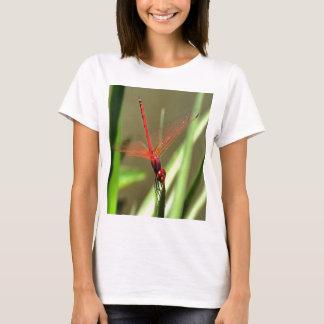 Beautiful Firecracker Dragonfly Acrylic Painting T-Shirt