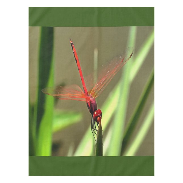 Beautiful Firecracker Dragonfly Acrylic Painting Tablecloth (Front)