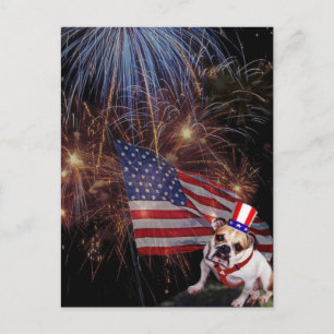 Beautiful Fireworks Celebration Bulldog Design Postcard