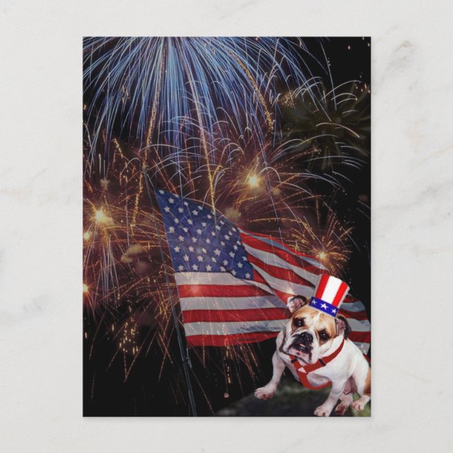 Beautiful Fireworks Celebration Bulldog Design Postcard (Front)