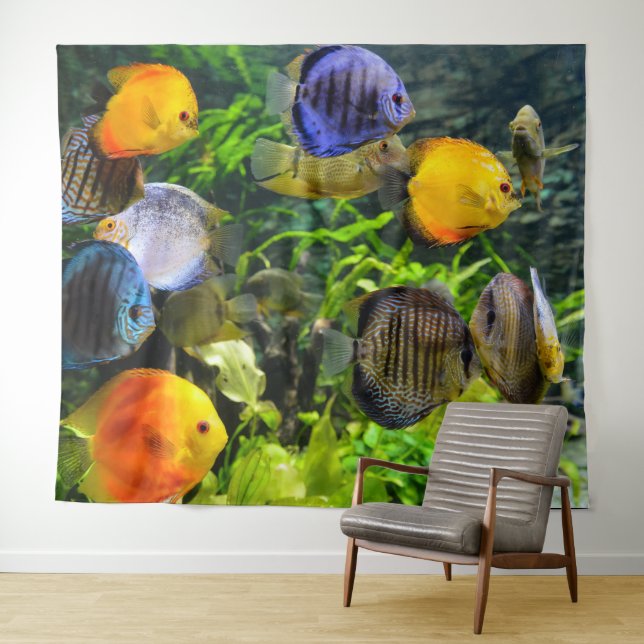 BEAUTIFUL FISH PHOTO-BACKDROP TAPESTRY (In Situ (Horizontal))