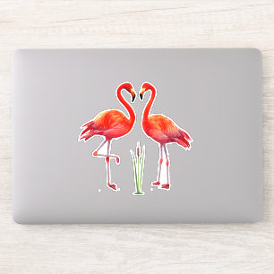 Beautiful Flamingo Couple