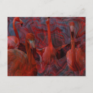 Beautiful "Flamingo Dance" Pink Postcard
