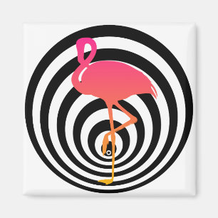 Beautiful flamingo in circles magnet