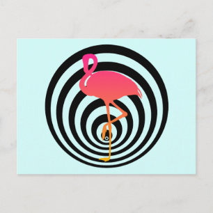 Beautiful flamingo in circles postcard