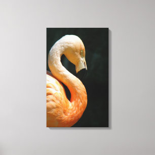 Beautiful Flamingo Wrapped Canvas! Canvas Print