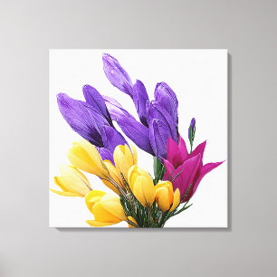 Beautiful floral pretty colourful crocus tulip canvas print