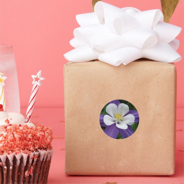 Beautiful Floral Purple White Columbine Flower Classic Round Sticker (Party)