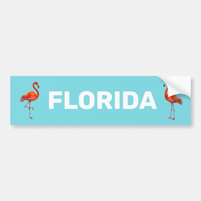 Beautiful Florida Flamingos on Light Blue Bumper Sticker (Front)