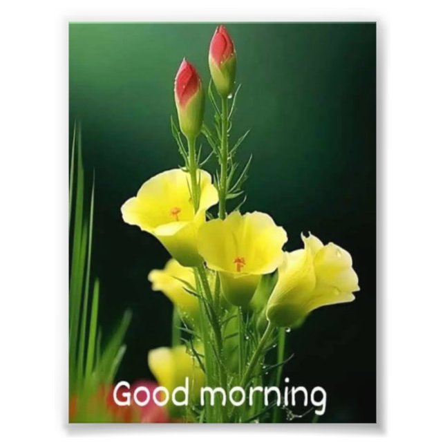 beautiful flowe photo print (Front)