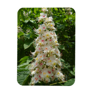 Beautiful Flower 3"x4" Magnet