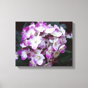Beautiful Flower Canvas Print