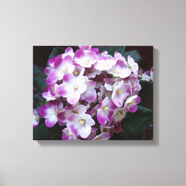 Beautiful Flower Canvas Print (Front)