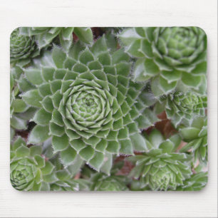 Beautiful Flower Mouse Mat