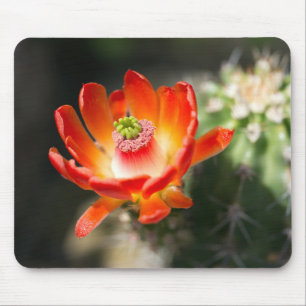 Beautiful Flower Mouse Mat