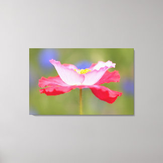 Beautiful flower photo canvas print