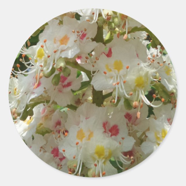 Beautiful Flower Round Sticker (Front)