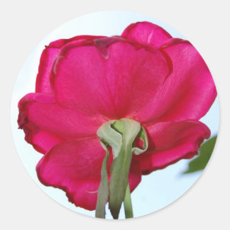 Beautiful Flower Sticker