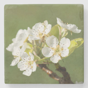 Beautiful Flower Stone Coaster