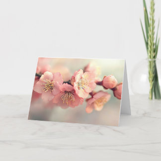 Beautiful flowering Japanese cherry - Sakura Thank You Card