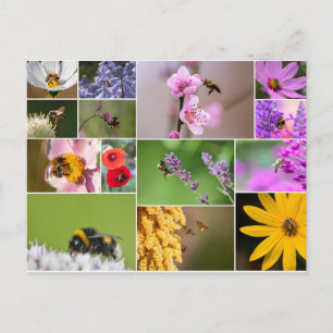 Beautiful flowers for spring and summer feelings! postcard
