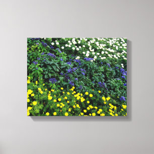 Beautiful Flowers Photo  Single Canvas