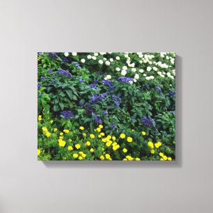 Beautiful Flowers Photo  Single Canvas Print