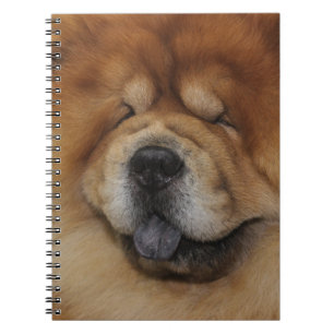 BEAUTIFUL FLUFFY RED CHOW CHOW DOG NOTEBOOK