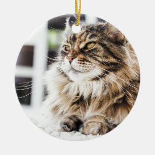 Beautiful fluffy tabby Siberian Persian cat design Ceramic Tree Decoration