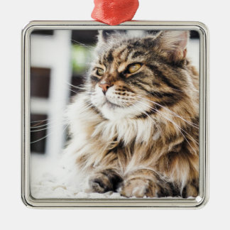 Beautiful fluffy tabby Siberian Persian cat design Metal Tree Decoration