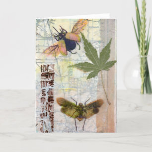 Beautiful Flying Bugs Note Card