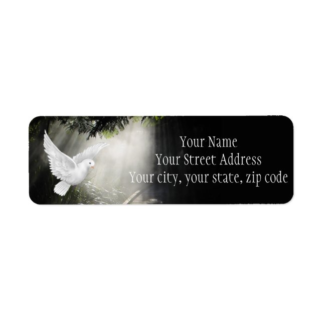 Beautiful flying dove in sunbeam (Front)