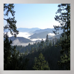 Beautiful foggy Spring  morning...... Poster