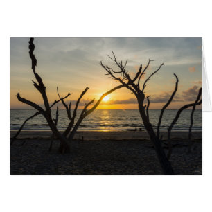 Beautiful Folly Morning