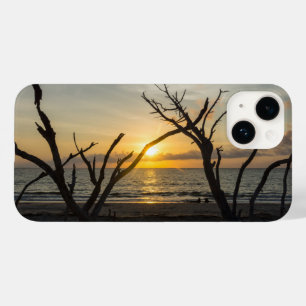 Beautiful Folly Morning iPhone Case