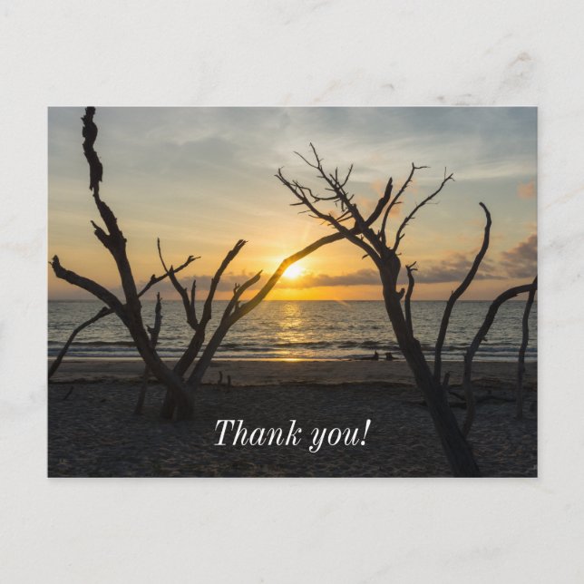 Beautiful Folly Morning Postcard (Front)