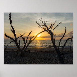 Beautiful Folly Morning Poster