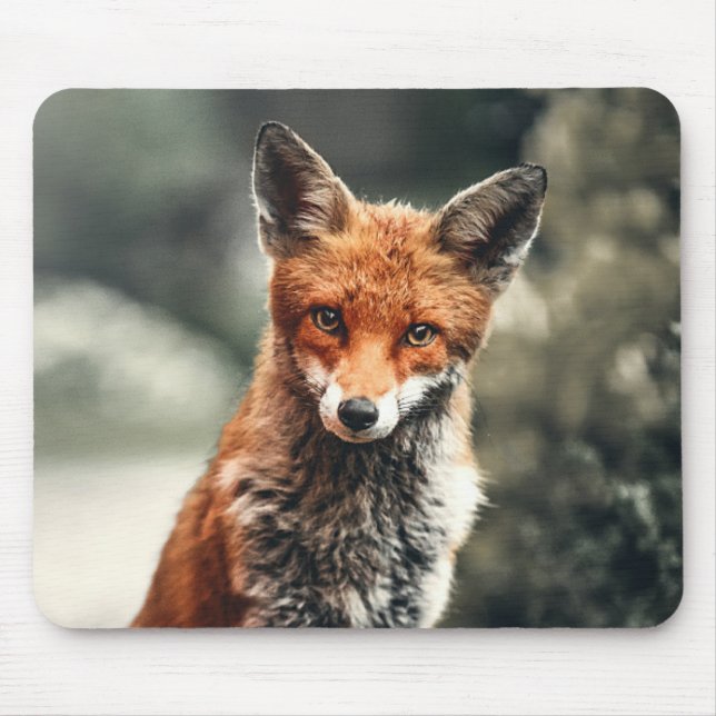 Beautiful Fox in the Wild Mouse Pad (Front)