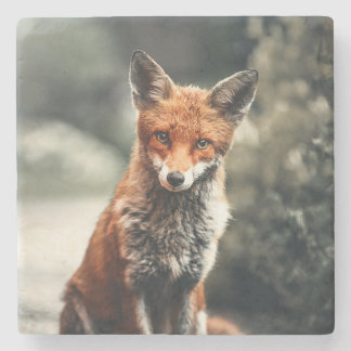 Beautiful Fox in the Wild Stone Coaster