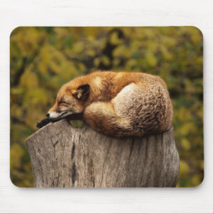 Beautiful Fox Sleeping on a Tree Stump Mouse Pad