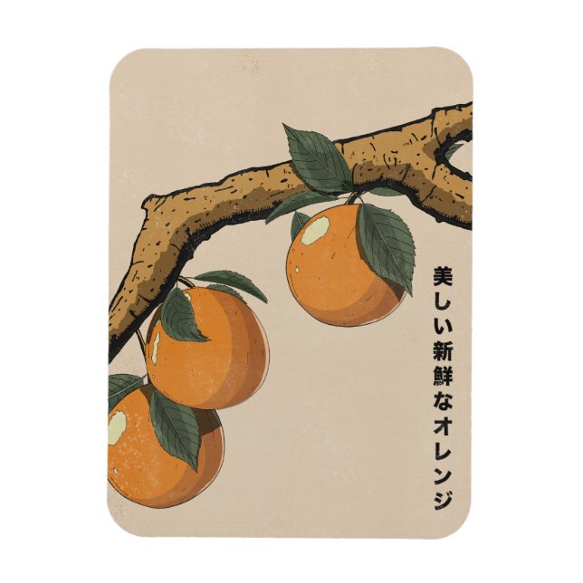 Beautiful Fresh Oranges Magnet (Vertical)