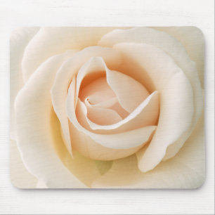 Beautiful Fresh Rose Mouse Pad